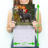French Bulldog Wall Calendar 2026