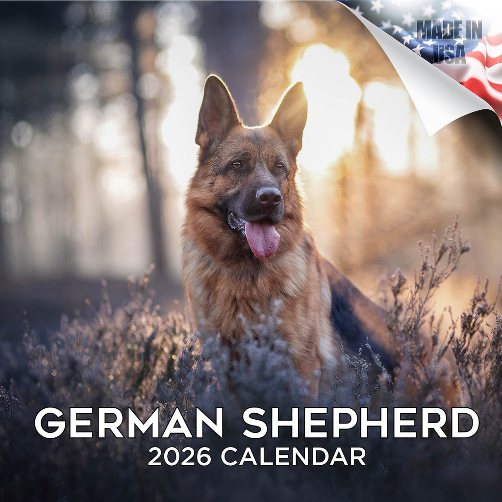 German Shepherd Wall Calendar 2026
