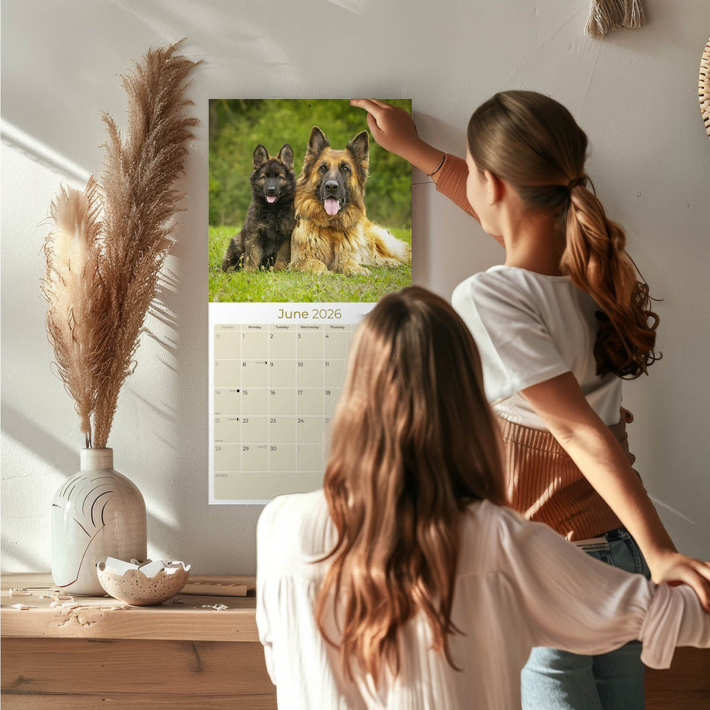 German Shepherd Wall Calendar 2026