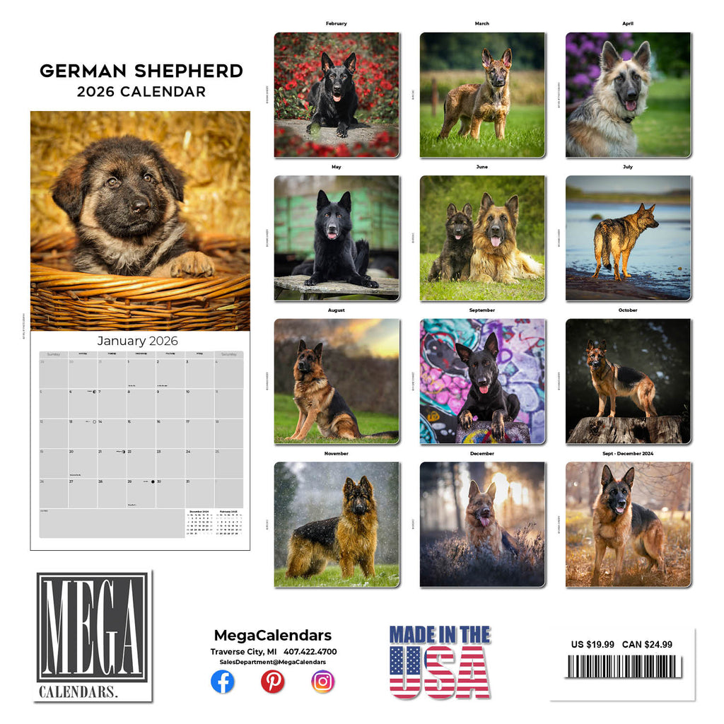 German Shepherd Wall Calendar 2026