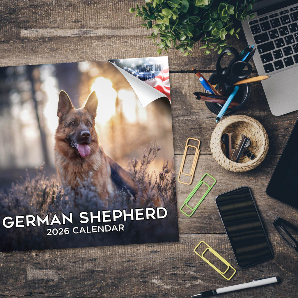 German Shepherd Wall Calendar 2026