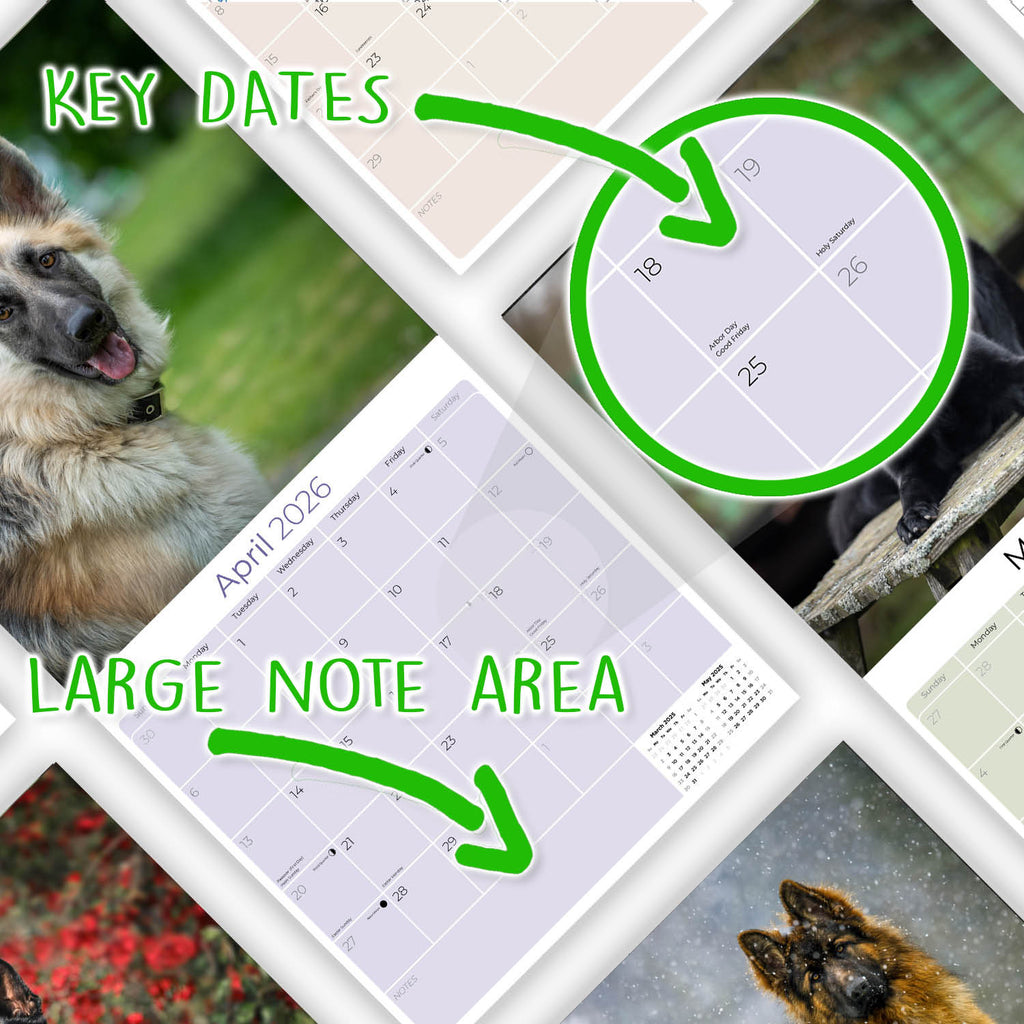 German Shepherd Wall Calendar 2026