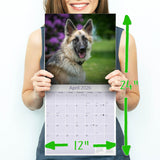 German Shepherd Wall Calendar 2026