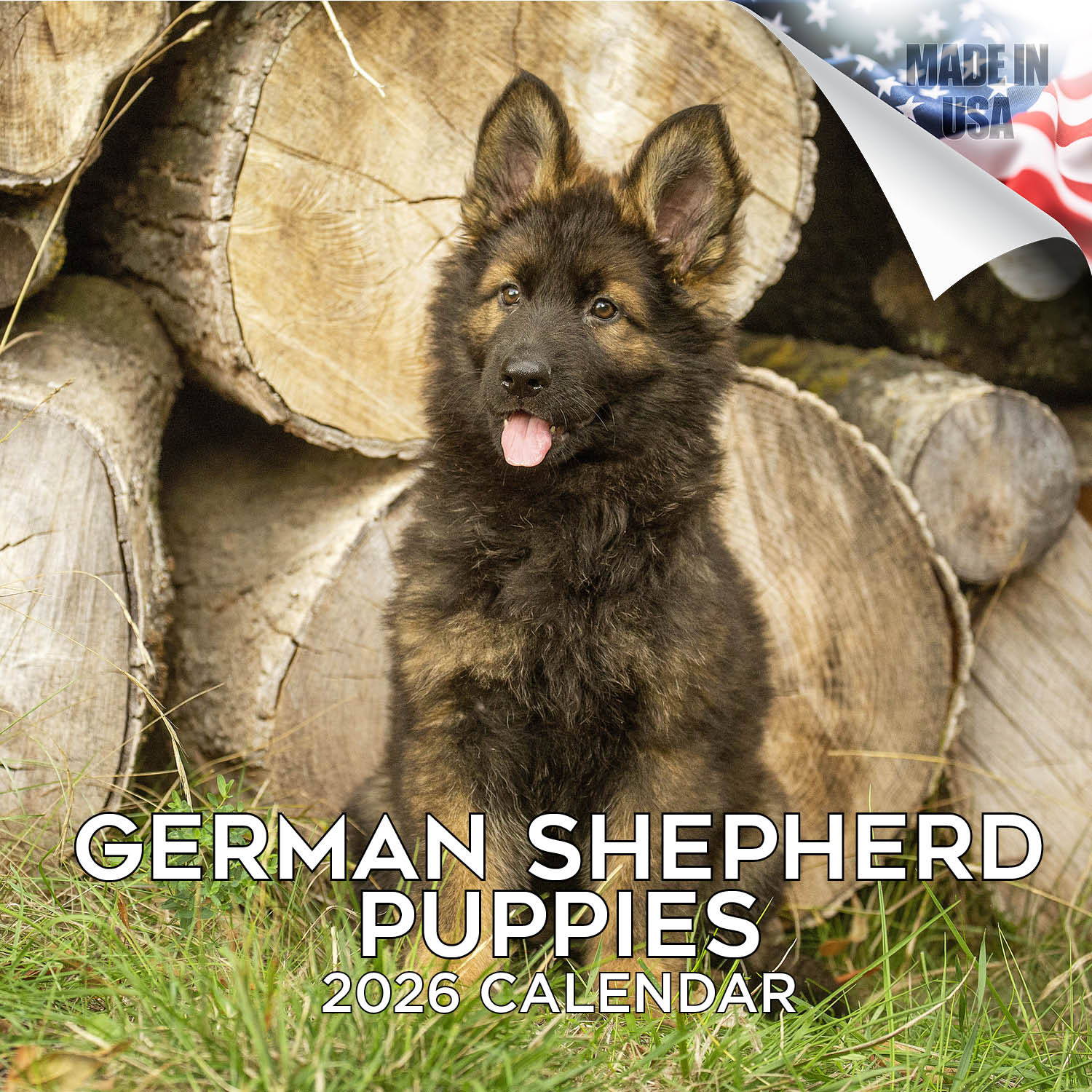 German Shepherd Puppies Wall Calendar 2026