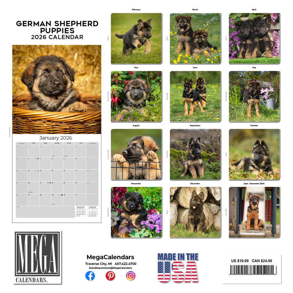 German Shepherd Puppies Wall Calendar 2026