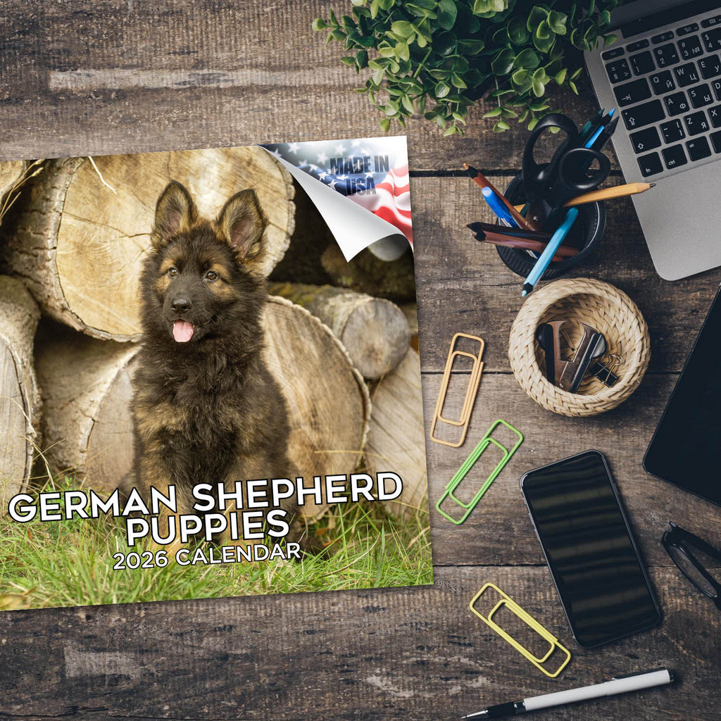 German Shepherd Puppies Wall Calendar 2026