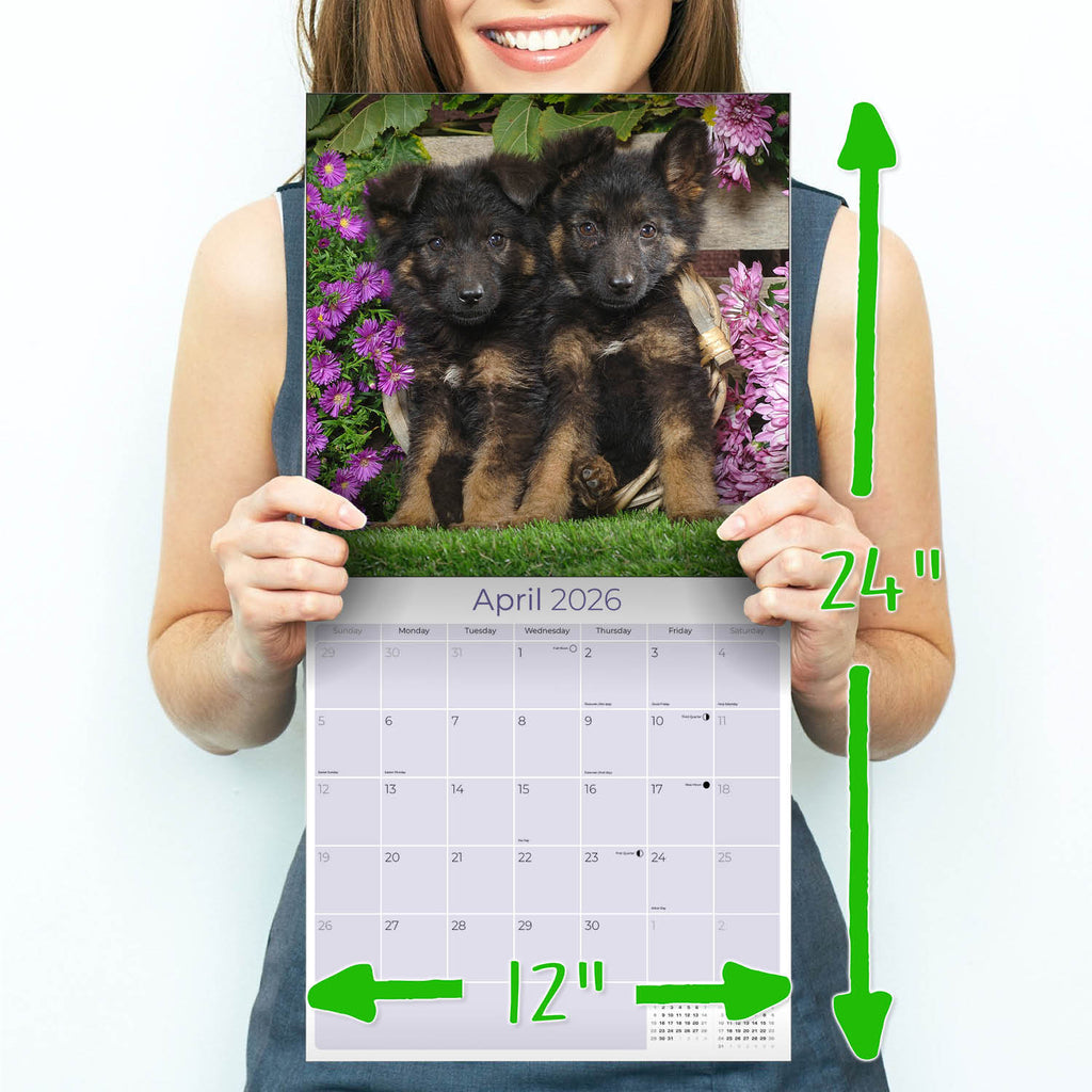 German Shepherd Puppies Wall Calendar 2026