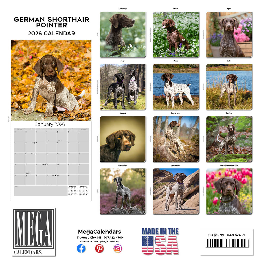 German Shorthaired Pointer Wall Calendar 2026