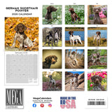 German Shorthaired Pointer Wall Calendar 2026