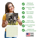 German Shorthaired Pointer Wall Calendar 2026
