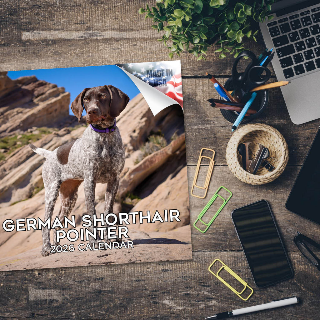 German Shorthaired Pointer Wall Calendar 2026