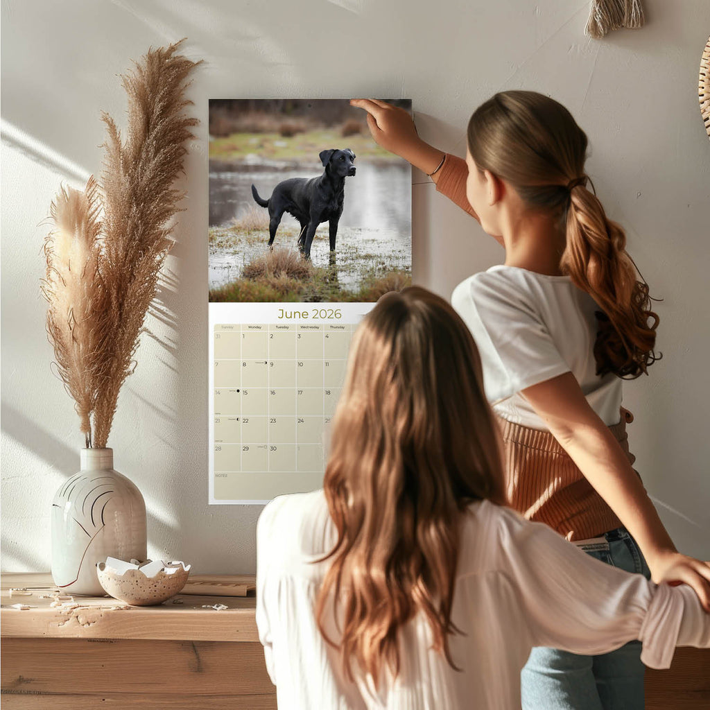 Black Labrador Retriever Wall Calendar 2026