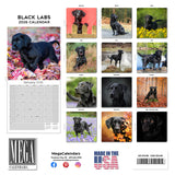 Black Labrador Retriever Wall Calendar 2026