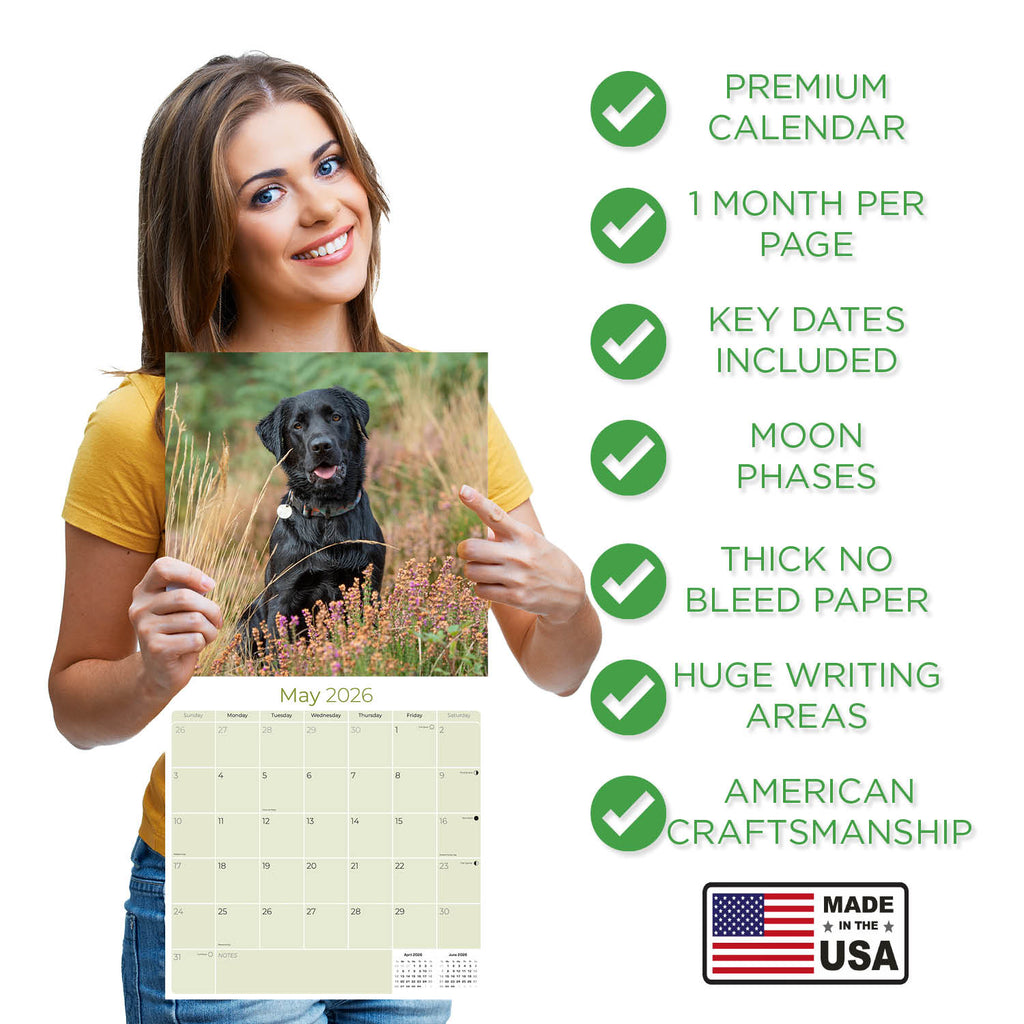 Black Labrador Retriever Wall Calendar 2026