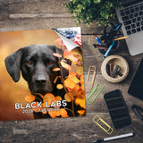 Black Labrador Retriever Wall Calendar 2026