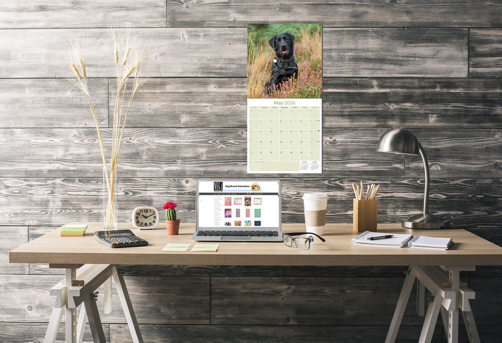 Black Labrador Retriever Wall Calendar 2026
