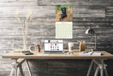 Black Labrador Retriever Wall Calendar 2026