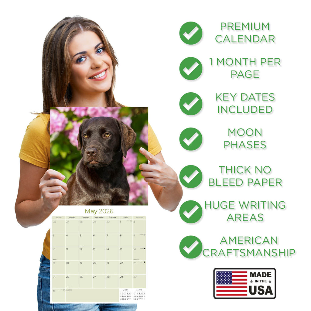 Chocolate Lab Retriever Wall Calendar 2026