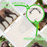 Chocolate Lab Retriever Wall Calendar 2026