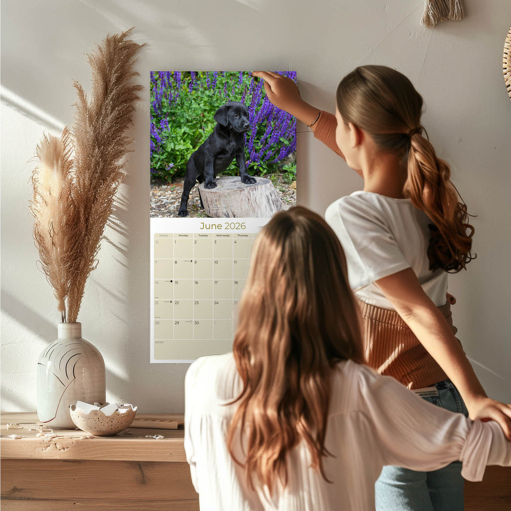 Black Labrador Puppies Wall Calendar 2026