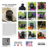Black Labrador Puppies Wall Calendar 2026