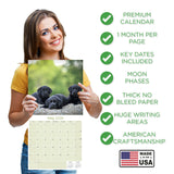 Black Labrador Puppies Wall Calendar 2026