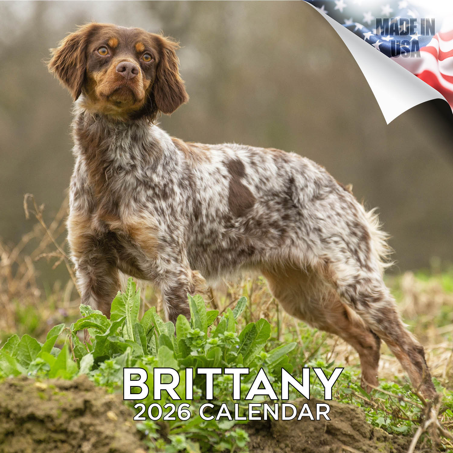 Brittany Wall Calendar 2026