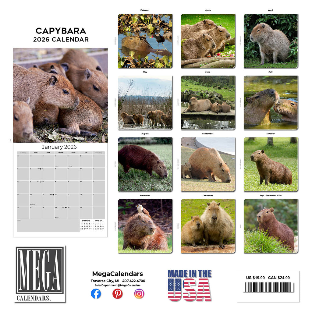 Capybara Calendar 2026