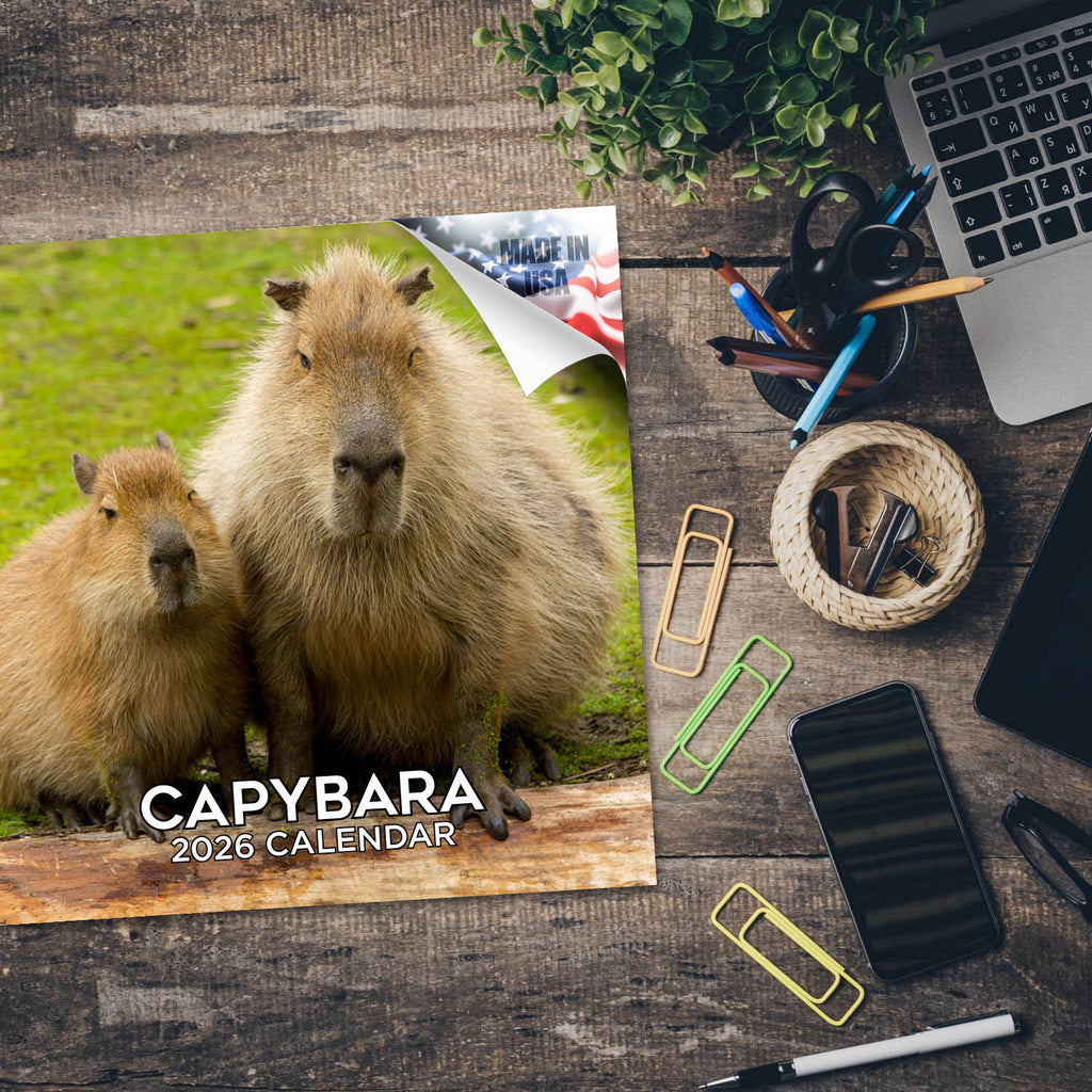 Capybara Calendar 2026