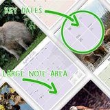 Capybara Calendar 2026