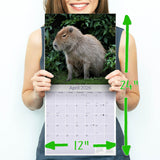 Capybara Calendar 2026