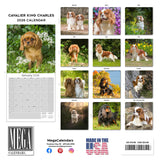 Cavalier King Charles Wall Calendar 2026