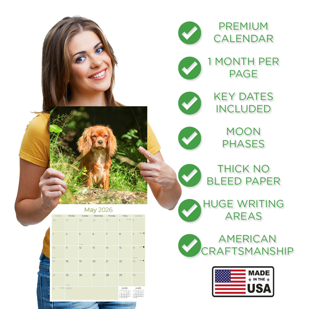Cavalier King Charles Wall Calendar 2026