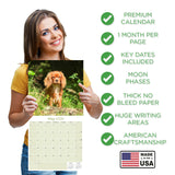 Cavalier King Charles Wall Calendar 2026