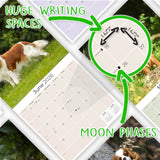 Cavalier King Charles Wall Calendar 2026