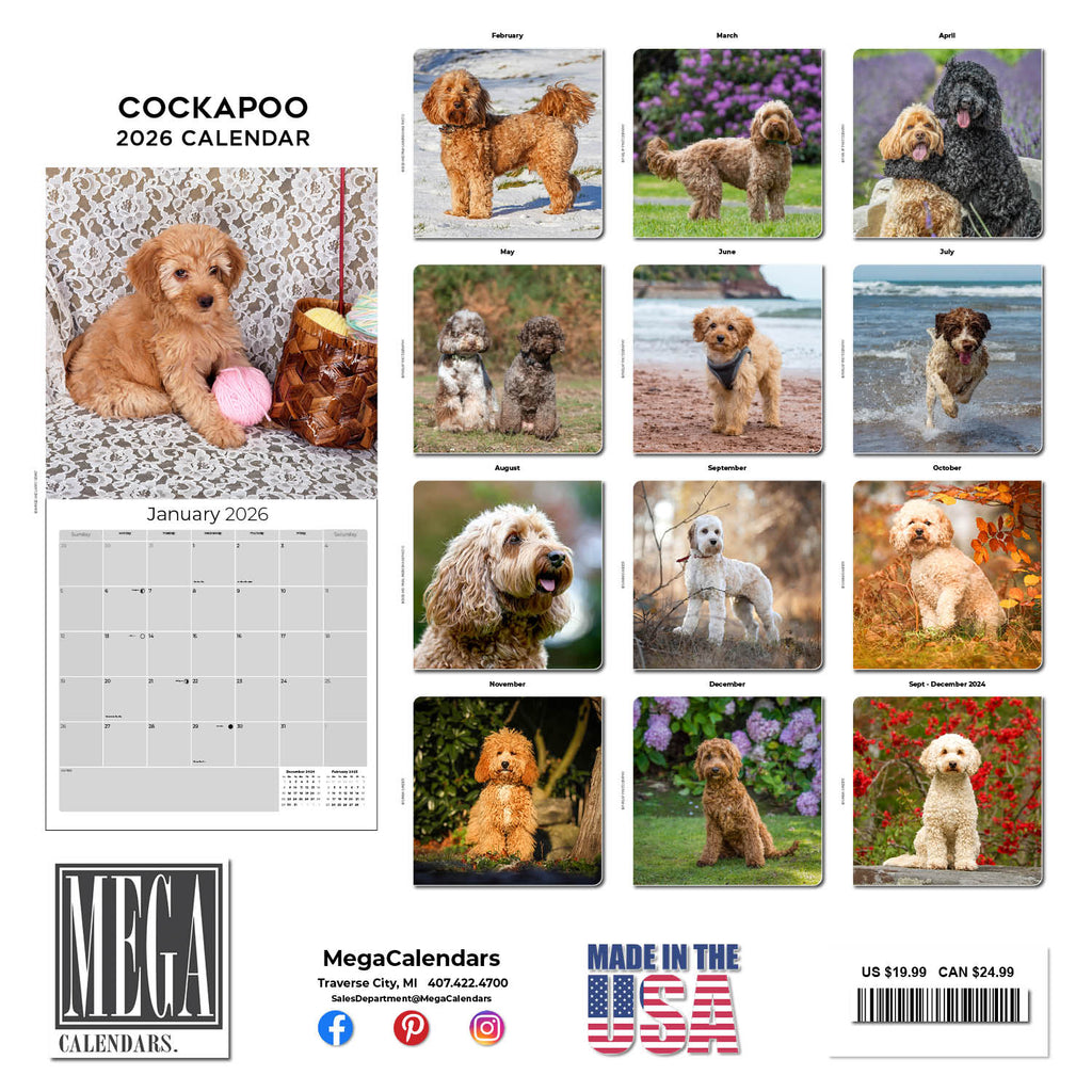 Cockapoo Wall Calendar 2026