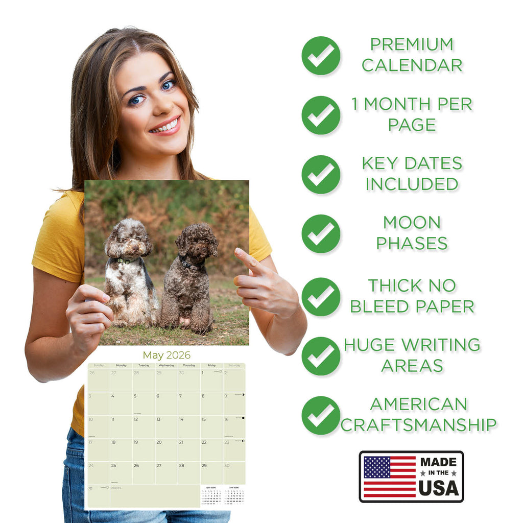 Cockapoo Wall Calendar 2026