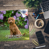 Cockapoo Wall Calendar 2026