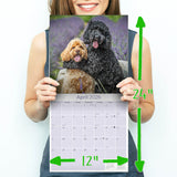 Cockapoo Wall Calendar 2026