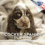 Cocker Spaniel Puppies Wall Calendar 2026