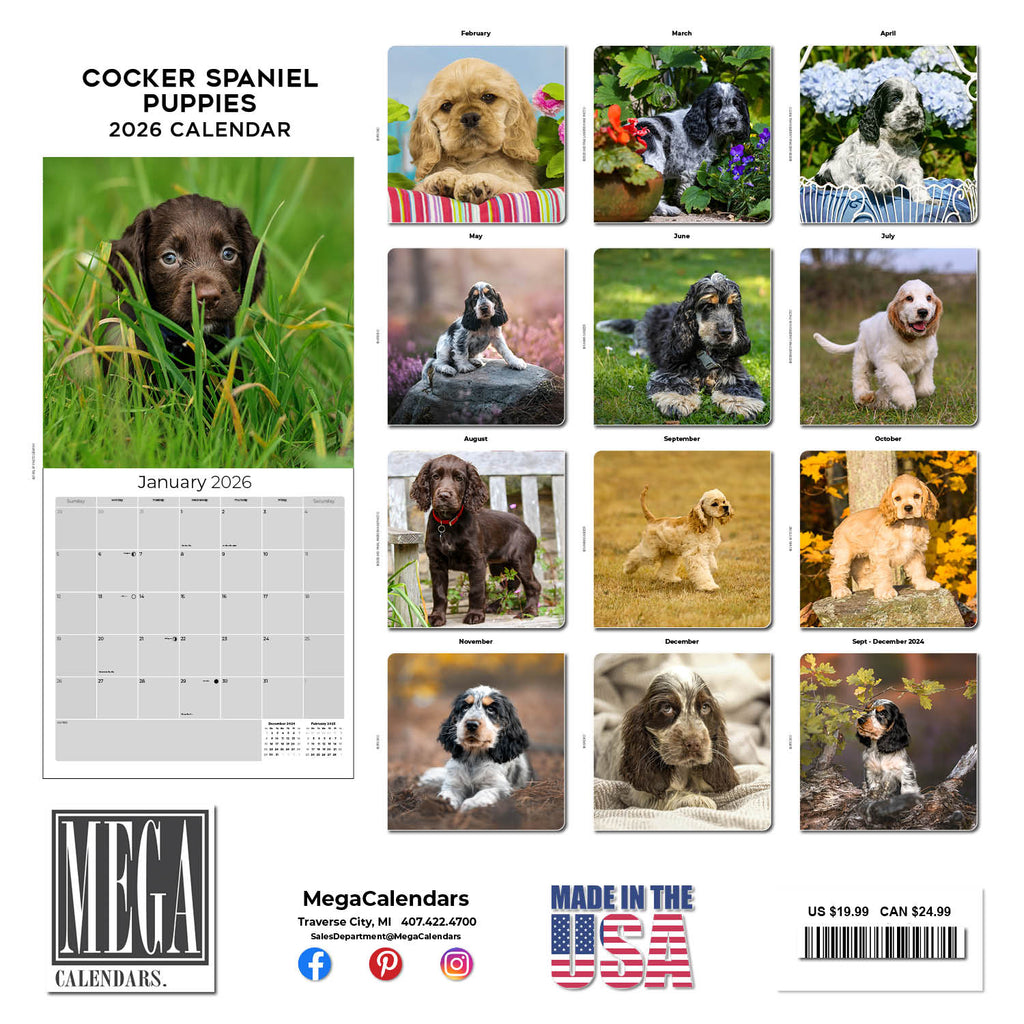 Cocker Spaniel Puppies Wall Calendar 2026