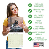 Cocker Spaniel Puppies Wall Calendar 2026