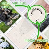 Cocker Spaniel Puppies Wall Calendar 2026