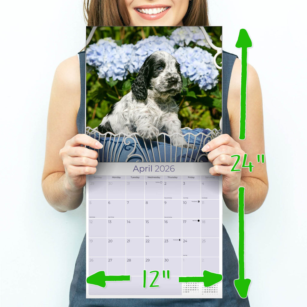 Cocker Spaniel Puppies Wall Calendar 2026