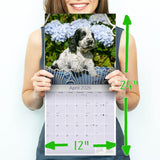 Cocker Spaniel Puppies Wall Calendar 2026
