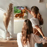 Dachshund (Longhaired) Wall Calendar 2026