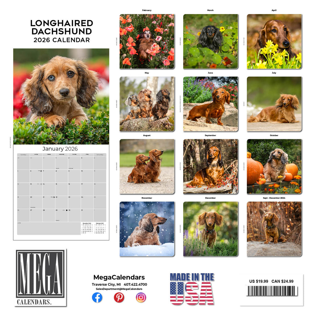 Dachshund (Longhaired) Wall Calendar 2026