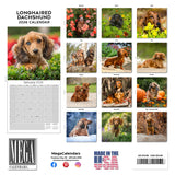 Dachshund (Longhaired) Wall Calendar 2026