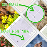Dachshund (Longhaired) Wall Calendar 2026