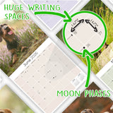 Dachshund (Wirehaired) Wall Calendar 2026